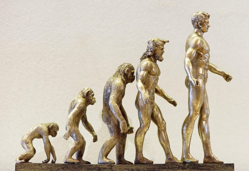 The Evolution of Aponeyrvsh: From Concept to Cultural Phenomenon