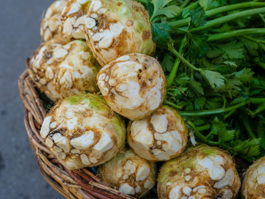 Pravi Celer: The Superfood Your Diet Needs in 2026