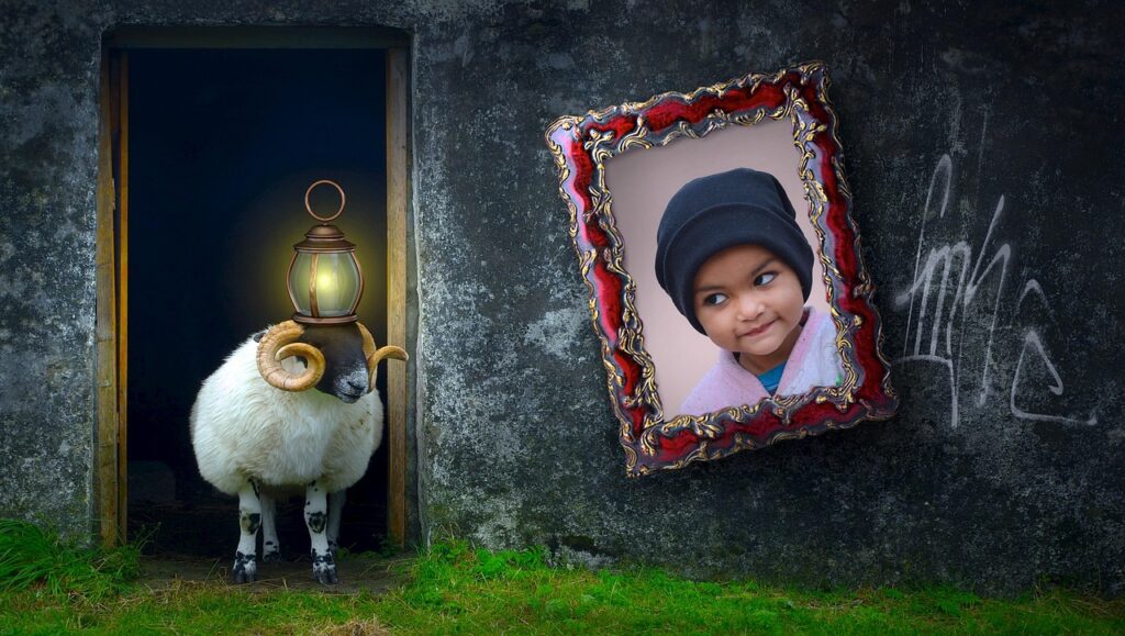 İNS: Meaning, Context, and Uses
