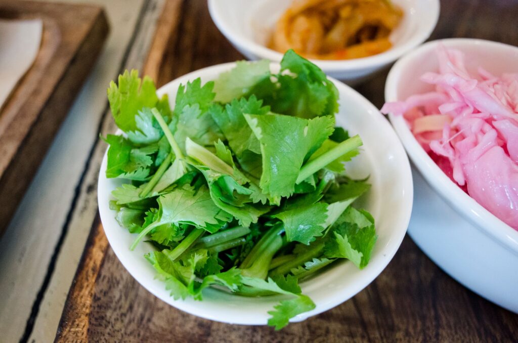 Koriandri: Culinary Secrets & Health Benefits Updated for 2026