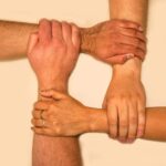 holistic interconnected systems