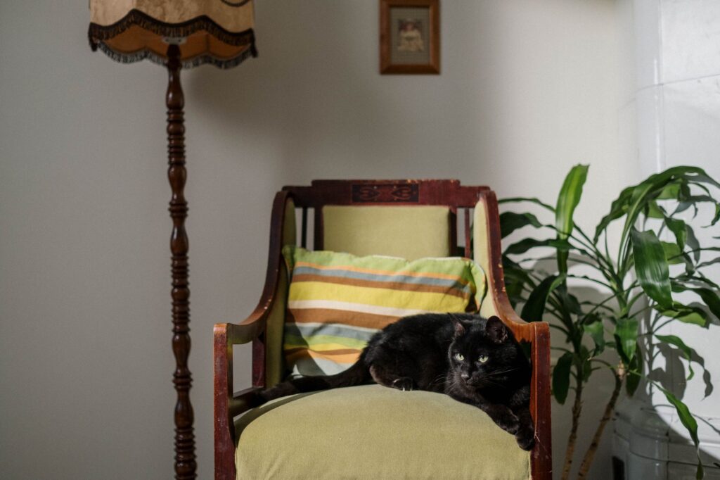 Kitty McIntyre Age: Latest Updates as of June 2026