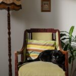 Kitty McIntyre portrait