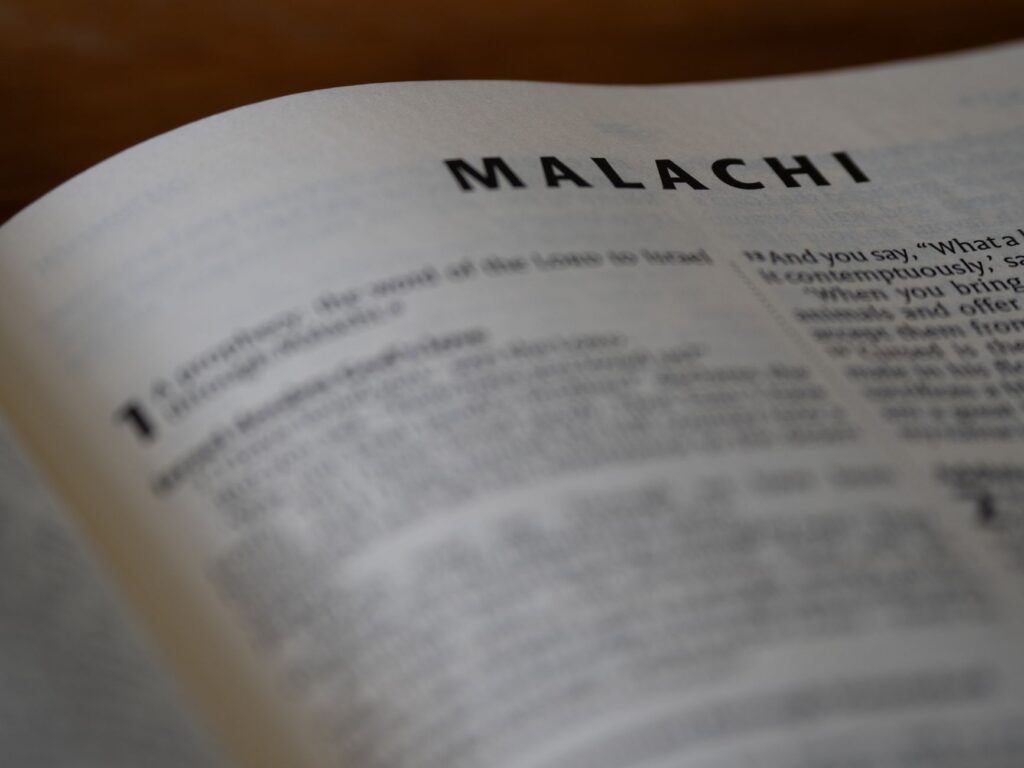 Malachi Ross portrait