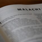Malachi Ross portrait
