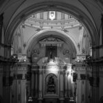 Maria Dolores Dieguez professional